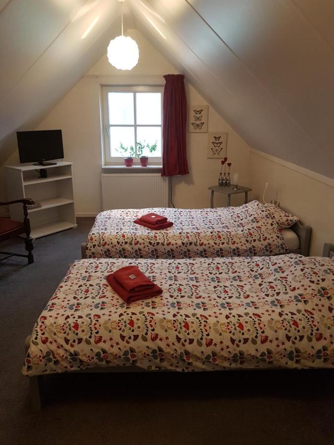 Standard Twin Room,1036931233:JPEG
